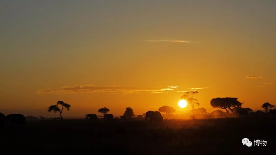肯尼亚博物学之旅,博物肯尼亚