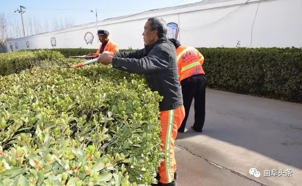 鑱氱劍涓夊啘绉嶆爲,鑱氱劍涓夊啘鑰曞湴