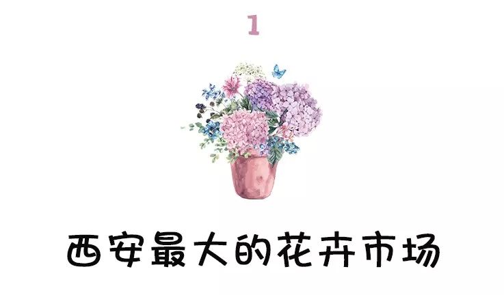 西安最大花卉交易市场,西安朱宏路丰产路巨坤花卉市场