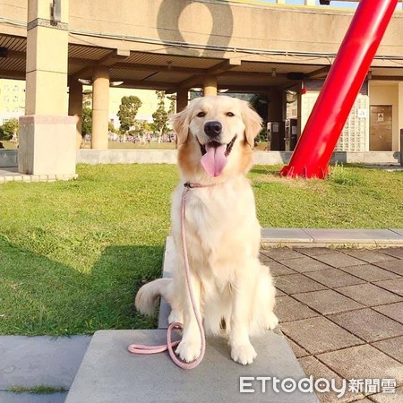 俏丽金妞客串实况主5分钟　粉丝赏星4200颗