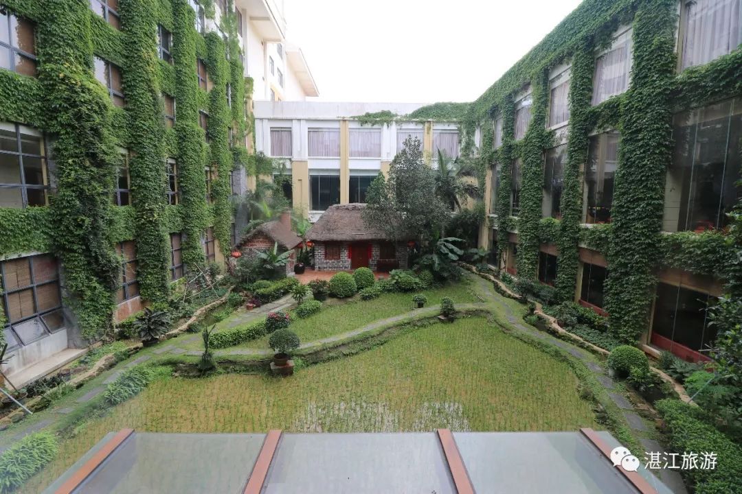 一月份湛江好去处,湛江适合几月份去