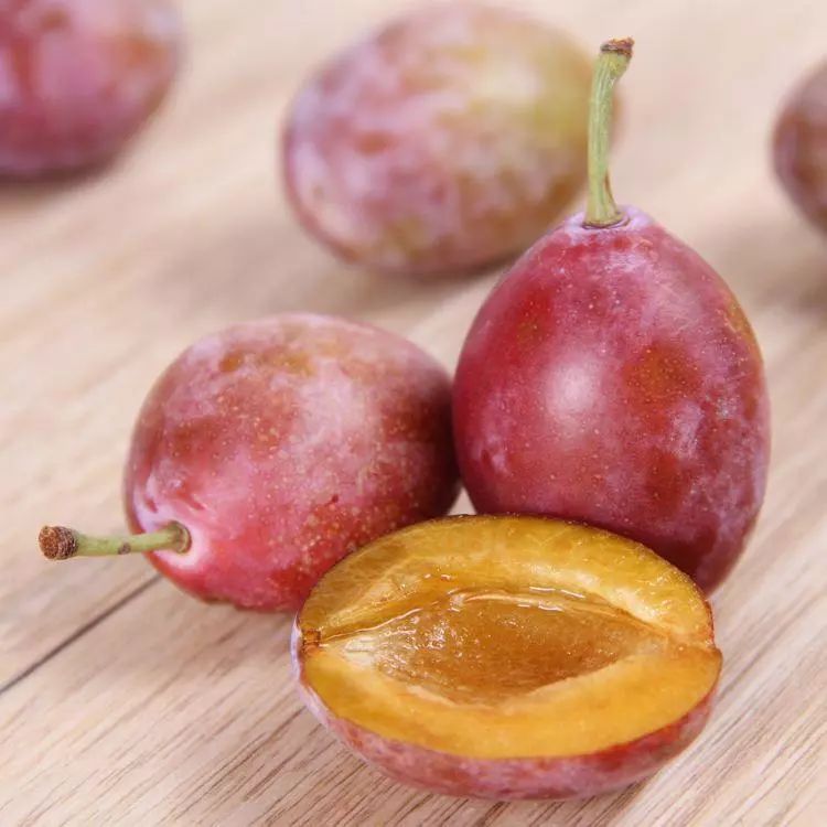 西梅到底是李子还是梅子,西梅到底是李子还是梅子呢