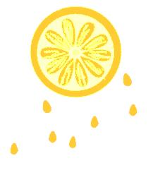 嘉兴嘉肴百碗在哪里,百县千碗秀洲