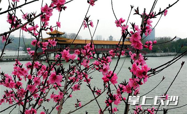 长沙地铁3号线旅游攻略,长沙带小孩旅游3-4天攻略最佳线路