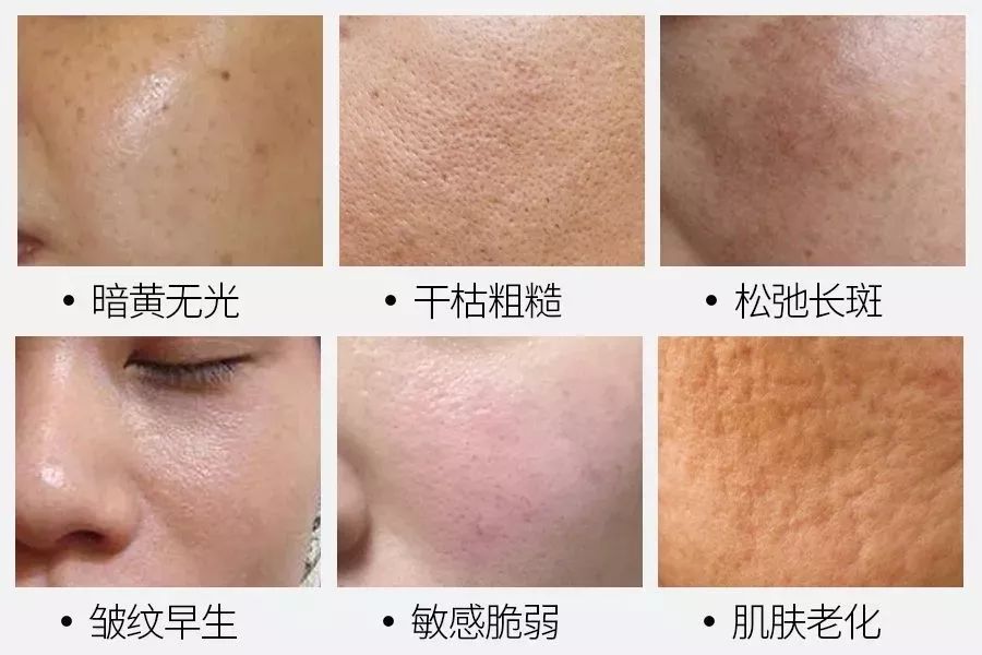 国产品牌老干妈,马应龙老干妈国货走出国门