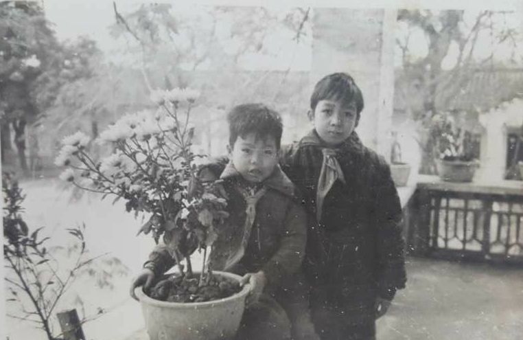 老照片1987年的夏天校园,夏西旧照片