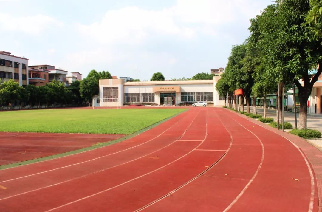 老照片1987年的夏天校园,夏西旧照片