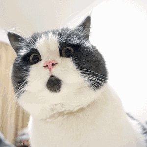 细菌最多的用品,生活用品的细菌数量