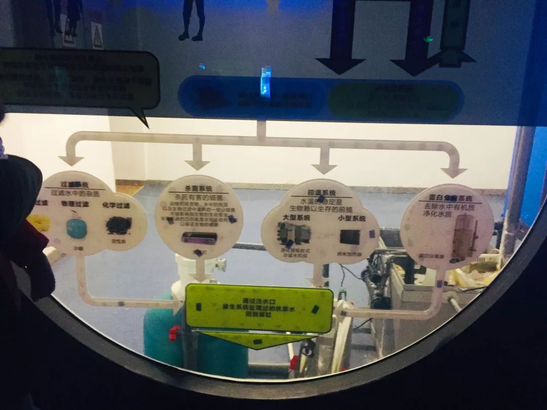 聊城海底世界游玩攻略,从聊城出发亲子游