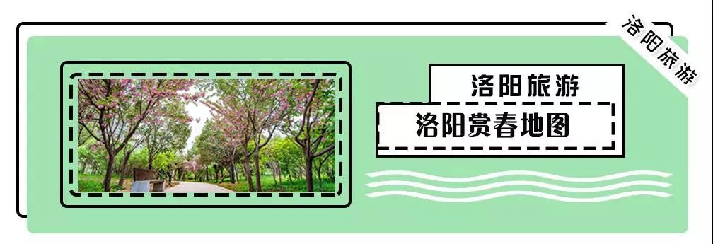 洛阳两条公交线路将调整,洛阳93路公交车最新消息