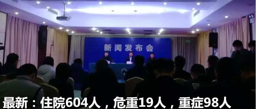 果然，一群“*独台**吉娃娃”