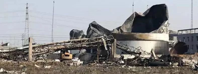 养40只流浪猫建新家,家里有18只流浪猫