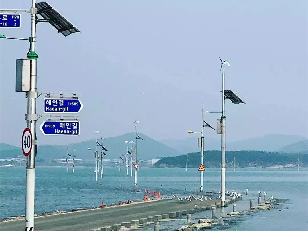 韩国三大悬案失踪案在哪看,韩国三十年未解悬案五少年失踪