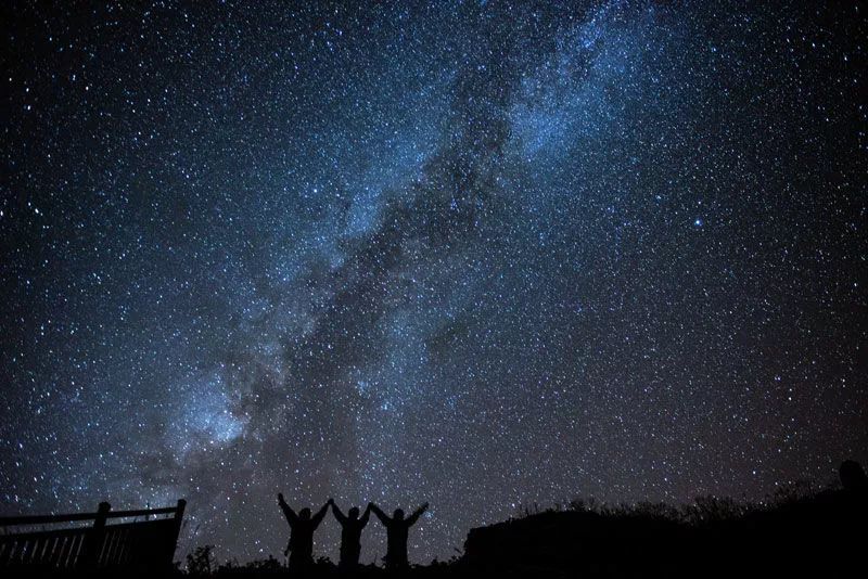 福建树屋酒店推荐,福建特色树屋民宿度假屋特点