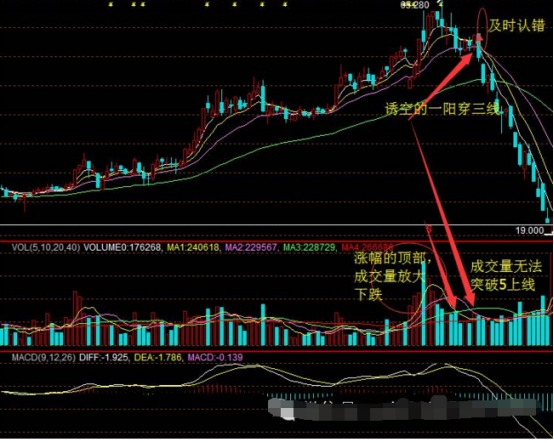 从入门到精通武术,从入门到精通的全面攻略