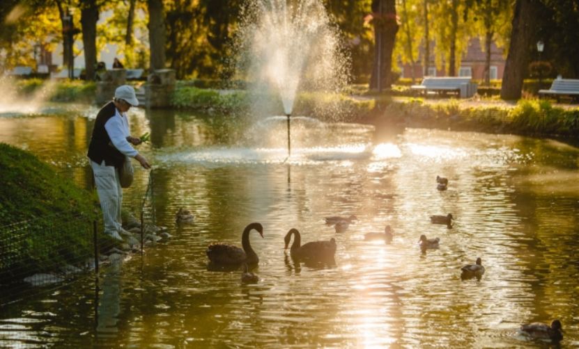 申根签需要的经济证明,最容易办理的申根签