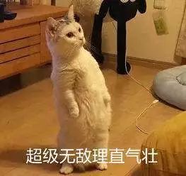 检测吸毒需要多少毛发,检测吸毒尿液几道杠是阴性