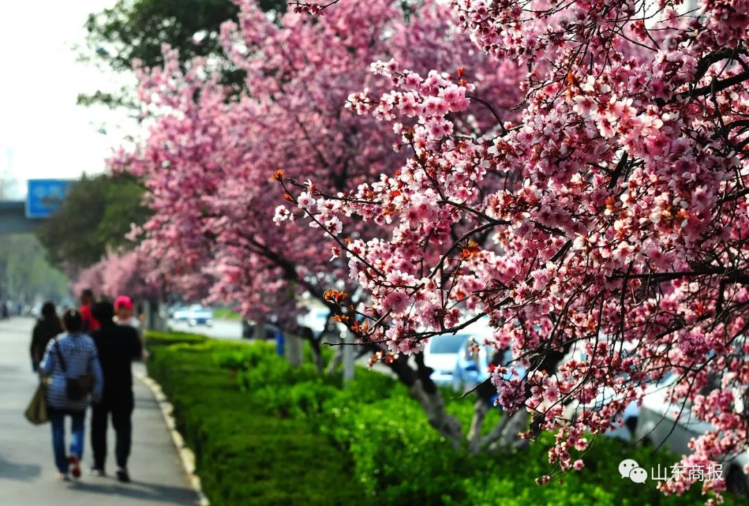 山东将高血压糖尿病纳入医保！||16岁少女遭囚禁性侵24天！||电动车不挂牌会被罚款？假的！