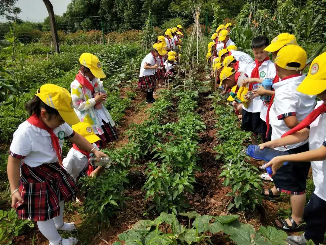 放飞孩子的梦想,放飞孩子的梦想就像放风筝一样