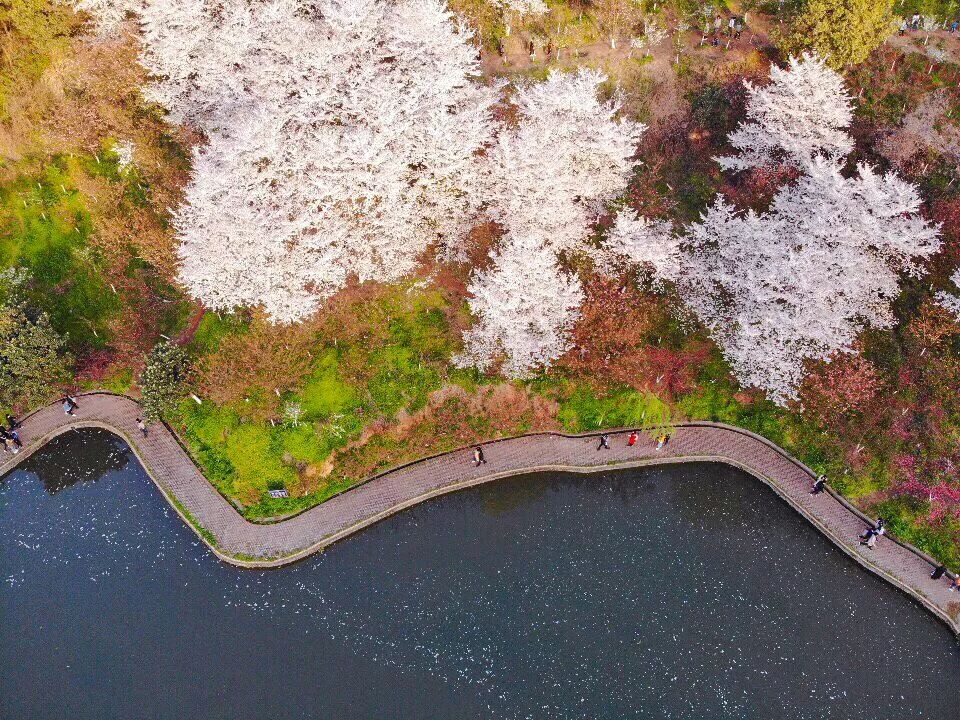 学校体育运动场馆增设与开放,学校体育场馆向公众开放