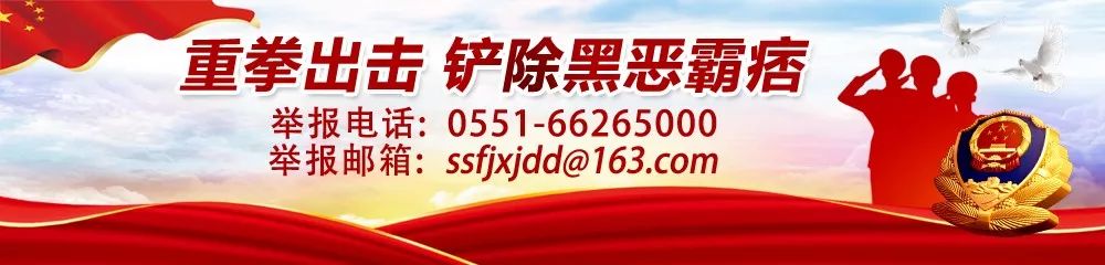 外国人评价蜀马赛道 (2019蜀马赛道展示)
