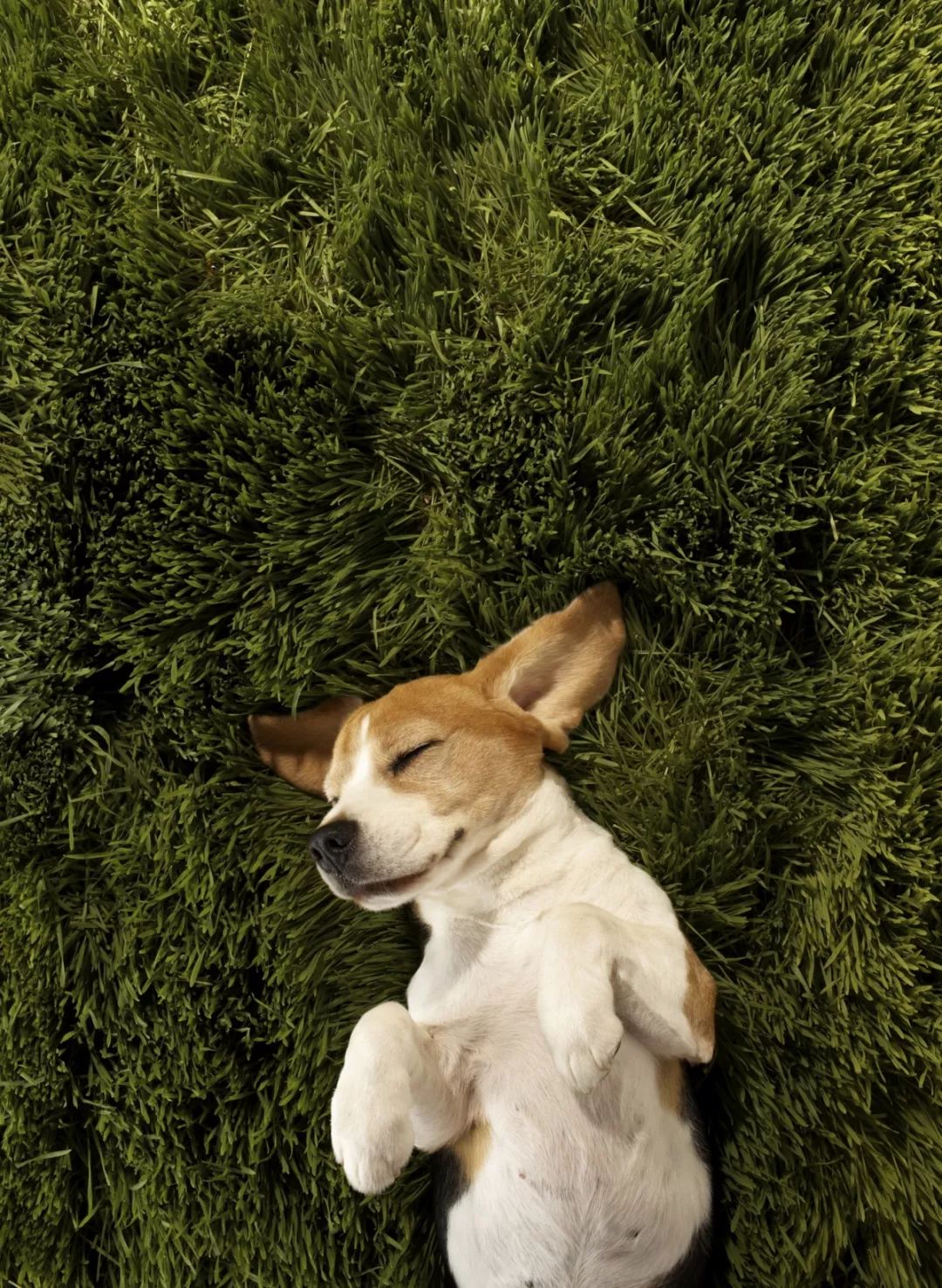 苏州适合周末度假的酒店,苏州度假酒店亲子游冬季