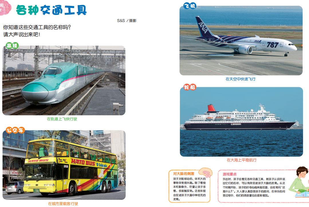 宝宝全脑早教书,早教书0-3岁全脑开发