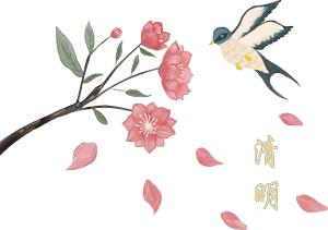 哇家玉溪是个大花园！处处可赏花，步步皆是景！