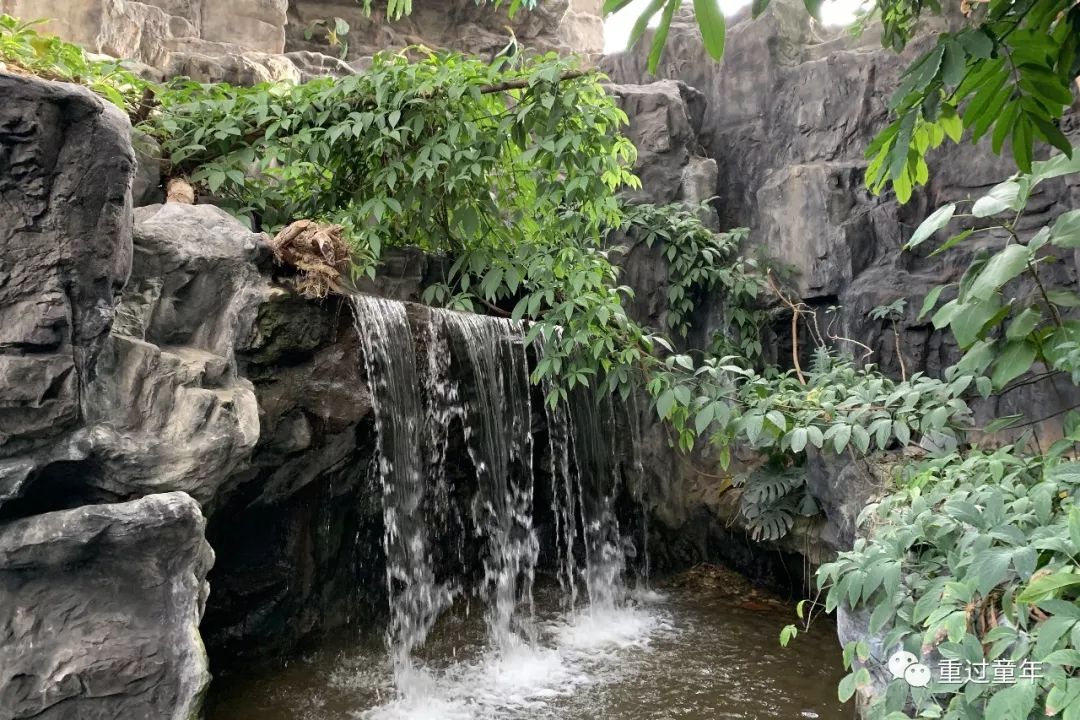 西安一个很有特色的公园,西安十大免费景区公园