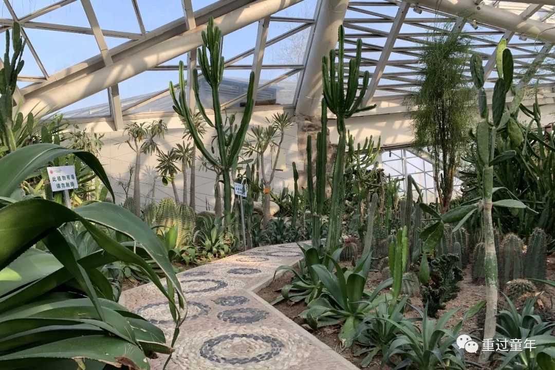 西安一个神奇的公园,西安市最值得去的免费公园景点