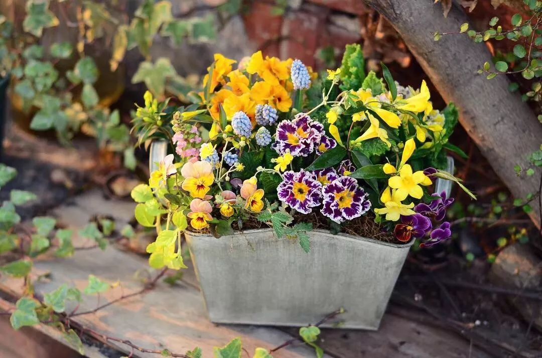 麻宁推荐|中国最时尚的未来花世界，拍照太出片了！