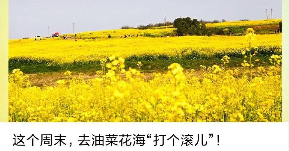 人间最美四月天赏花攻略,人间最美四月天旅游