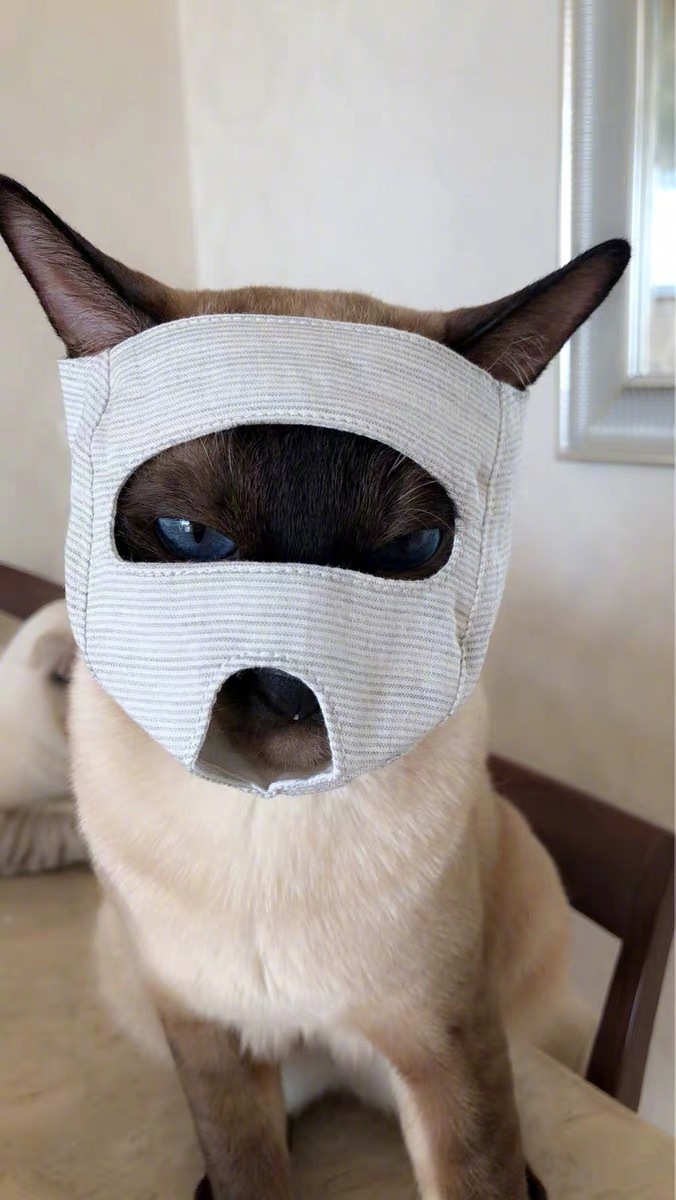 emoji吐舌头模仿挑战,emoji模仿挑战吐舌头