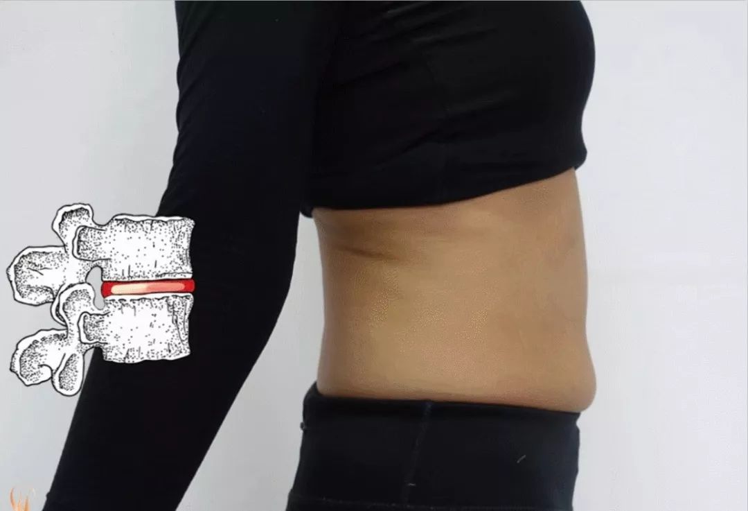 李哲老师解剖腹部肌肉,教你学解剖的李哲是什么人