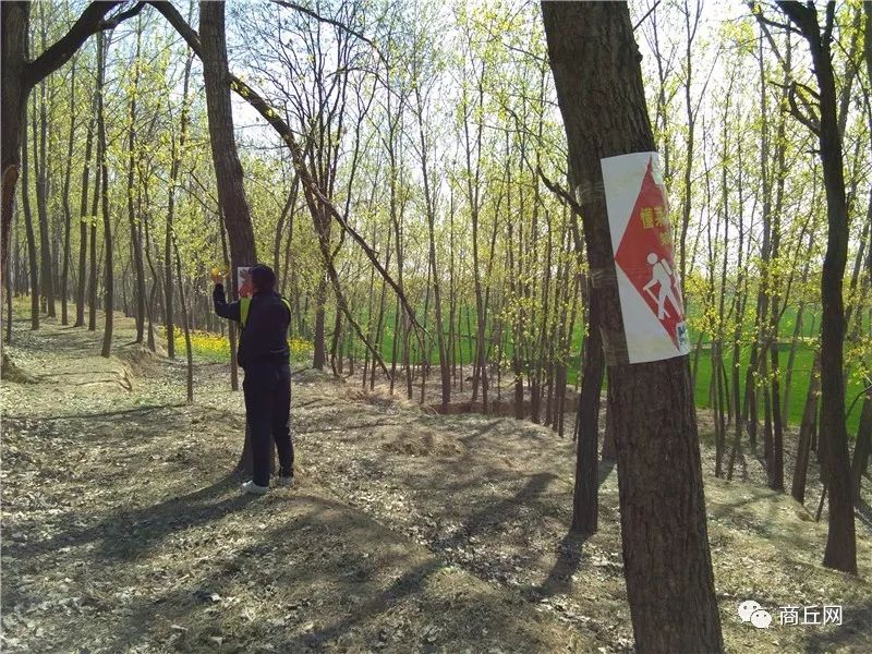 “懂菜农业”杯第七届黄河故道湿地花海徒步穿越路标已布置完成，快来认识一下！