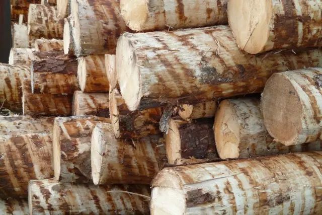 木材的种类及识别,常见木材的识别方法