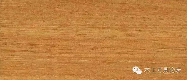 识别木材优劣家居人必备基本功,木材识别基础知识