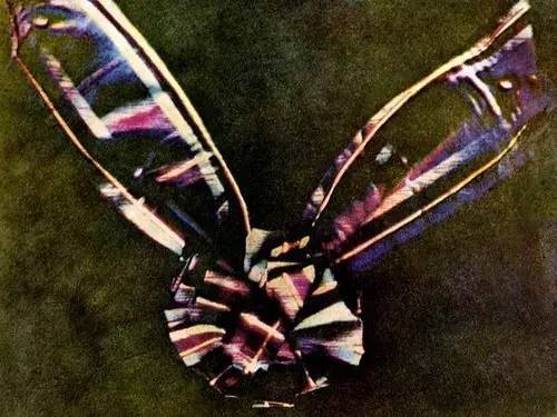 照相机至今已有多少年的历史了,19世纪照相机发展史