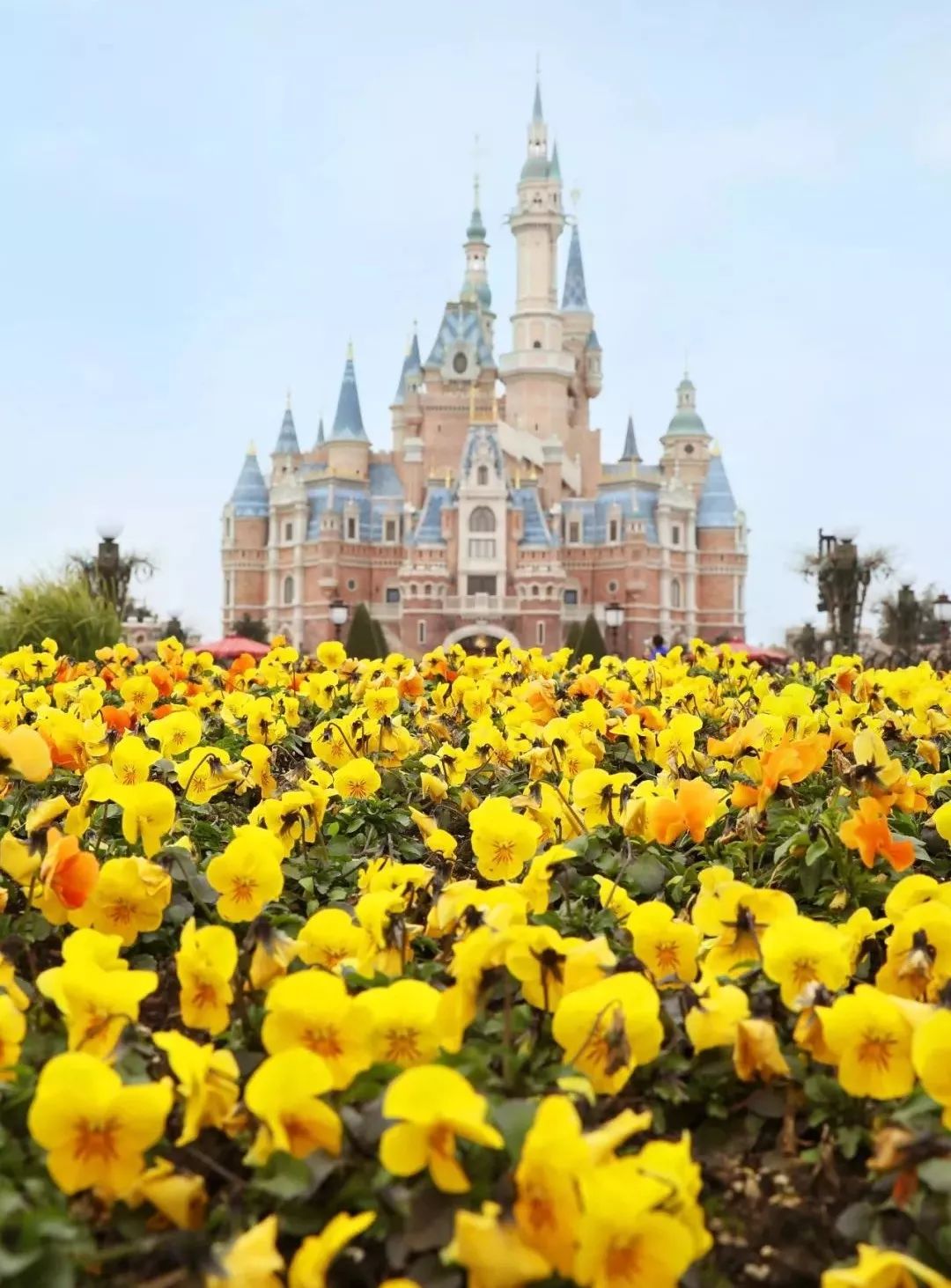 城事指南,浦东区旅游攻略