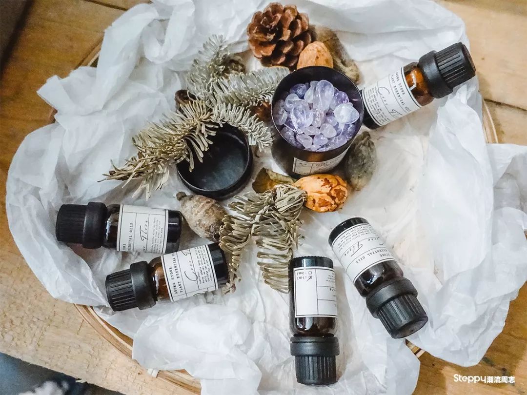 广州必吃早茶店,广州值得吃的早茶店