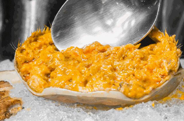 国家有什么螃蟹,国家保护的螃蟹有哪些