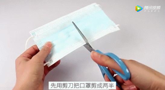 衣柜潮湿生虫子怎么处理,衣柜缝隙里有大虫子怎么办