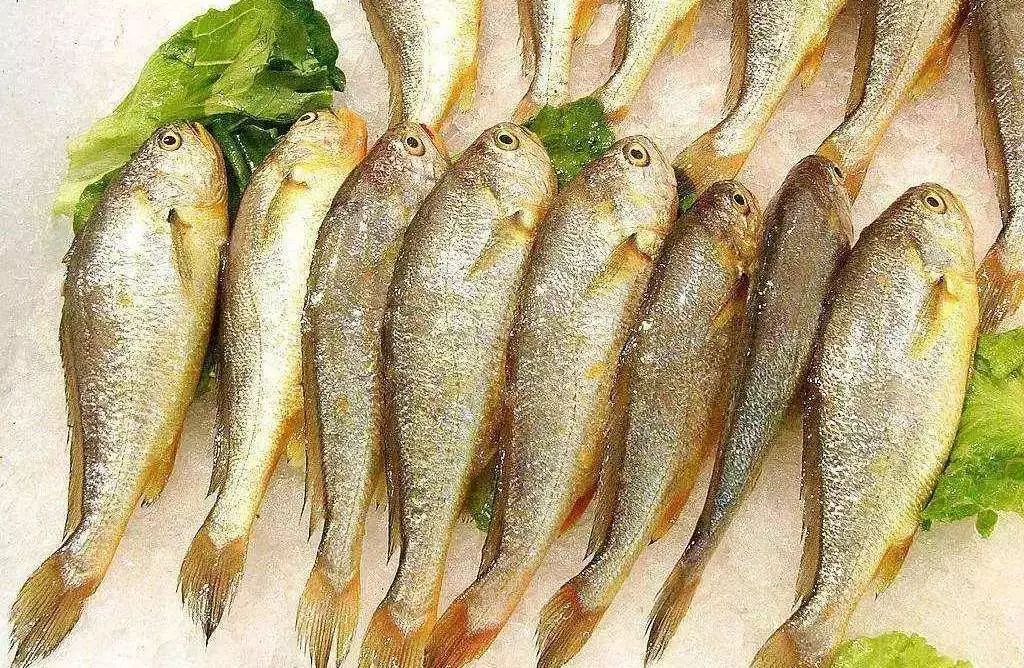 剁手｜10块钱在上海能干些什么？这些可能大家都想不到！