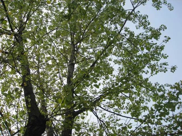 我姓杨，我向全邹城人民道歉！！但我有苦衷……