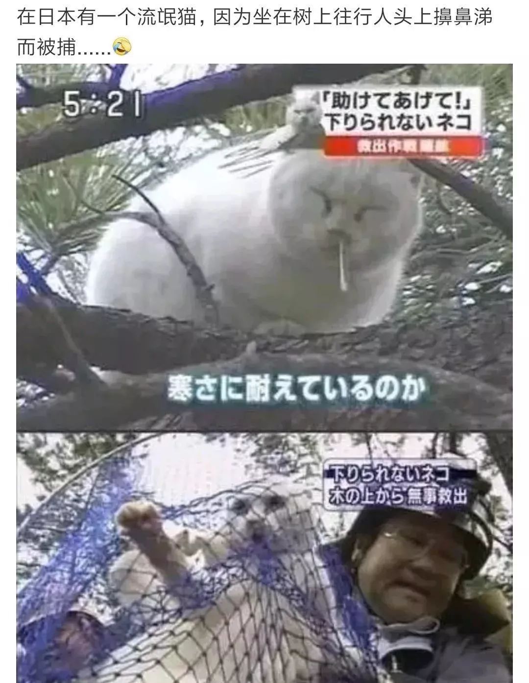 深夜和客服搞笑聊天截图,深夜和客服聊天截图