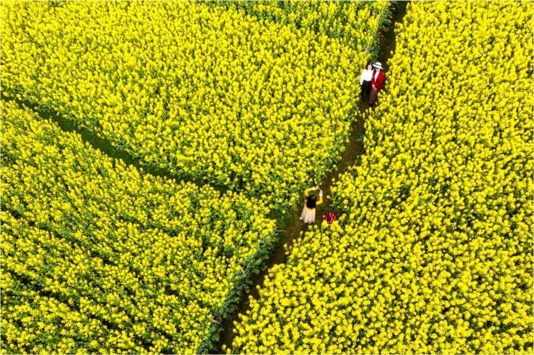 枞阳摄影师,枞阳拍照写真