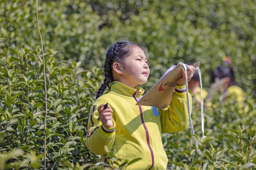 湖州一院清明节放假,湖州清明节各大医院放假安排