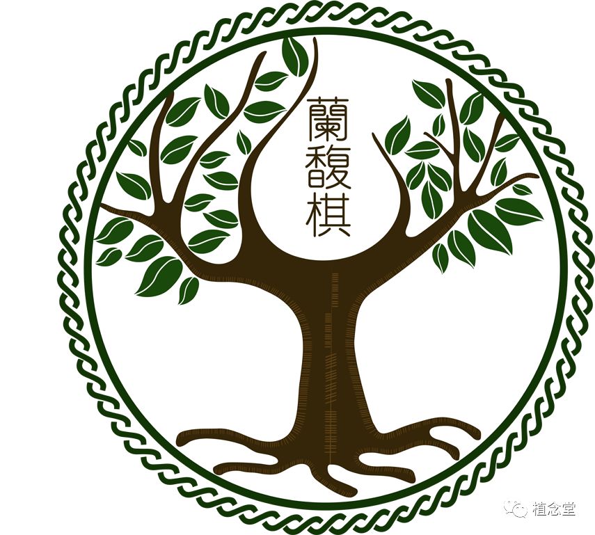 你期待已久的法兰贡老师的芳香疗法药典和配方课程终于来了！