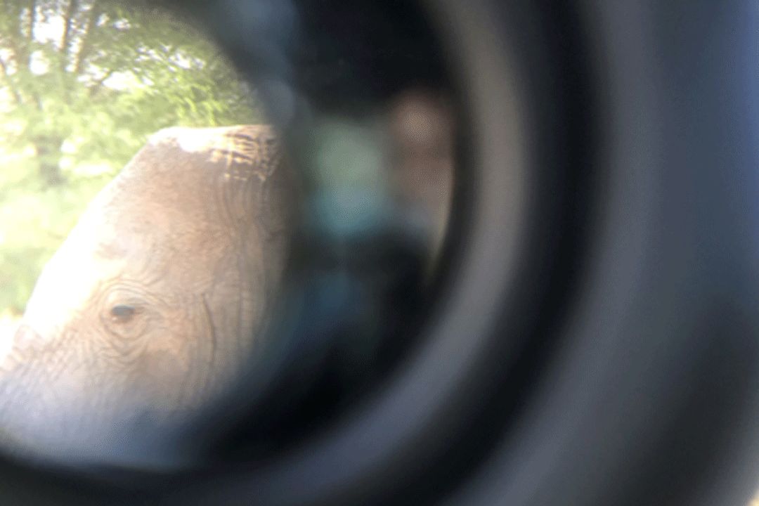 跟刘昊然在非洲过了6天5夜,发现他其实就是个话痨加多动症啊……