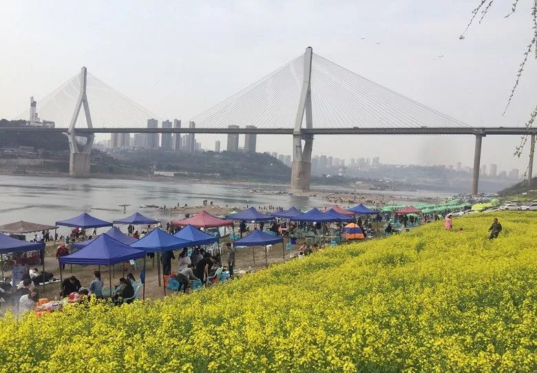 2019重庆优惠活动,重庆最新全图